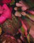 FLOENE