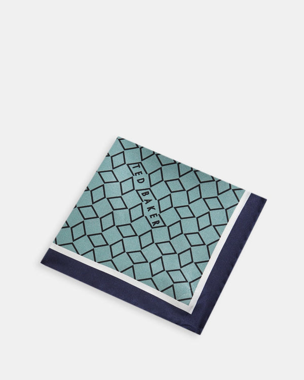 CULVER-Ties-a- Ted Baker Romania