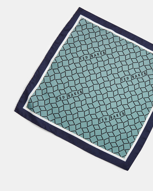 CULVER-Ties-a- Ted Baker Romania