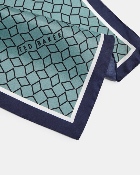 CULVER-Ties-a- Ted Baker Romania