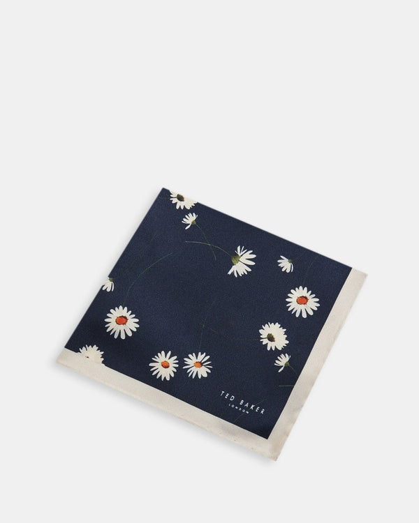 LINEPOK-Ties-a- Ted Baker Romania