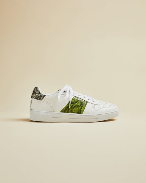COPPIRR - Ted Baker Outlet Sneakers