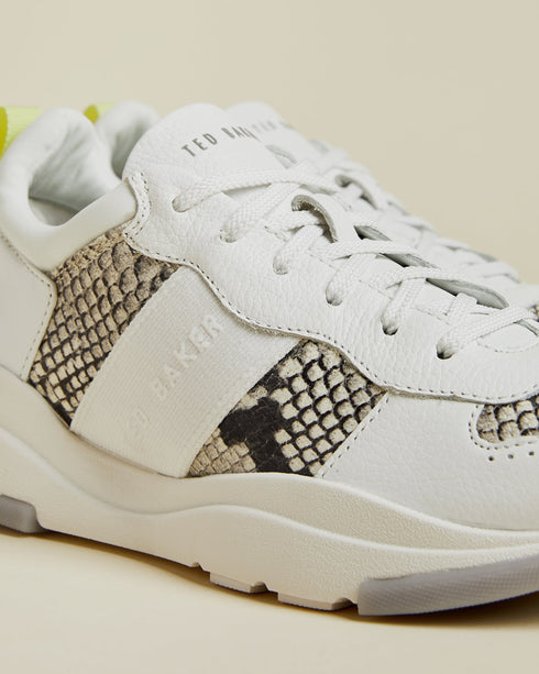 WEVERDS - Ted Baker Outlet Sneakers