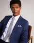 BESQUAR - Ted Baker Ties