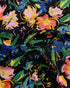 DONVIA - Ted Baker Tops
