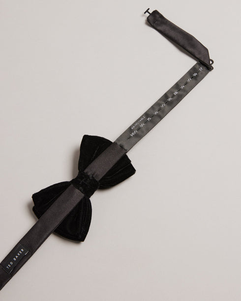 CONNERI - Ted Baker Ties