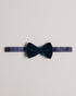 CONNERI - Ted Baker Ties