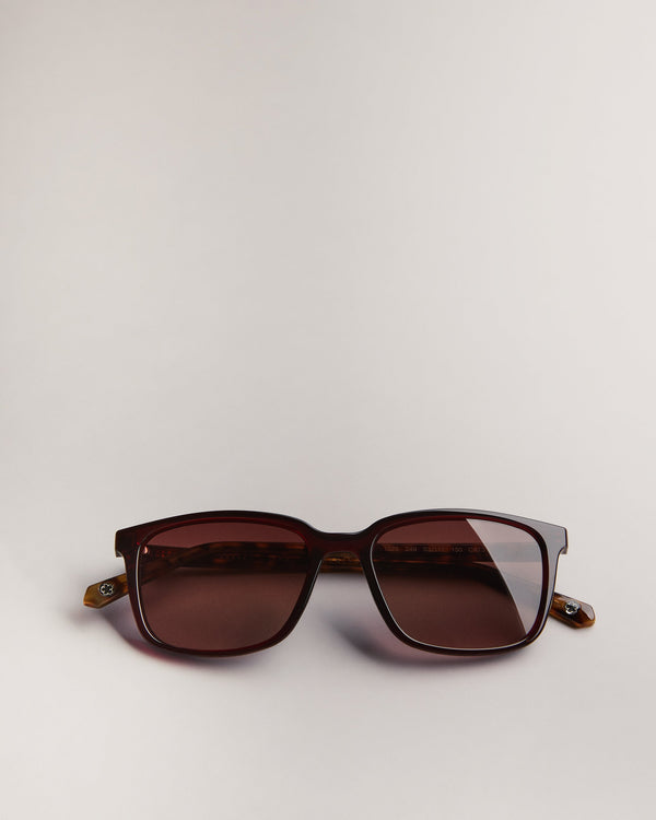 FARLEI-Eyewear-924953 Classic Frames Sunglasses- Ted Baker Romania
